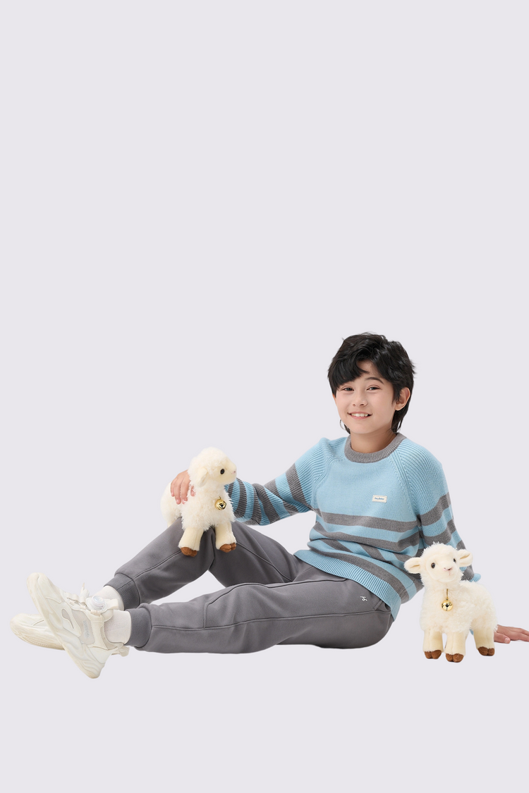 Boys Ultra-Soft Merino Wool Sweater