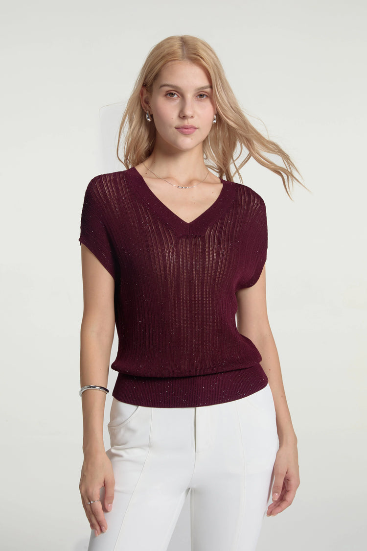 Women’s Sparkle Ribbed Knit V-Neck Top - FAMILYWEAR
