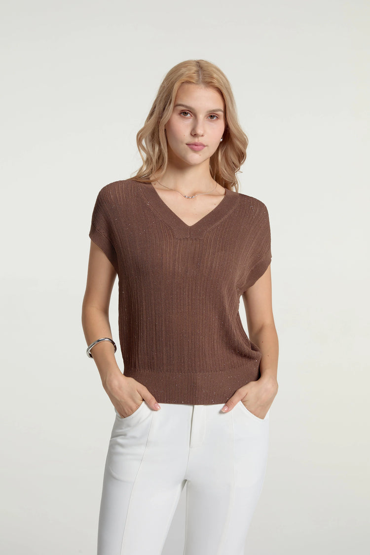 Women’s Sparkle Ribbed Knit V-Neck Top - FAMILYWEAR