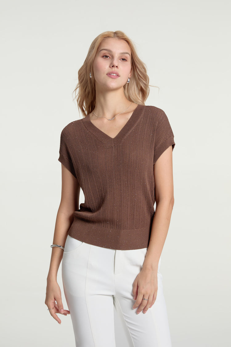 Women’s Sparkle Ribbed Knit V-Neck Top - FAMILYWEAR