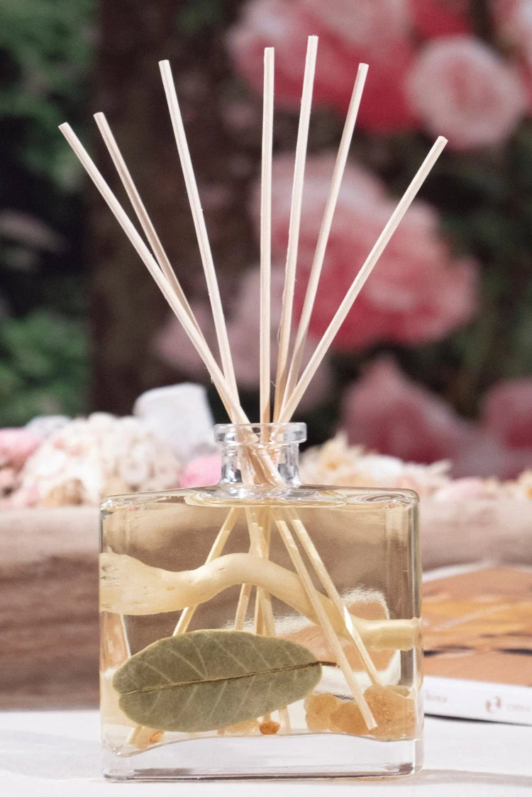 Secrets of Spring Reed Diffuser - FAMILYWEAR